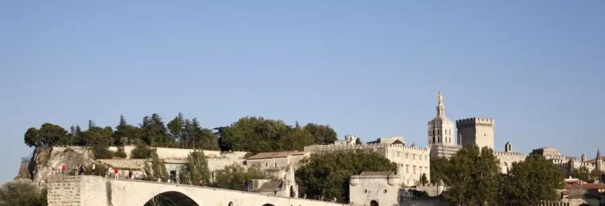 Vue du pont d'Avignon et du palais des papes au second plan